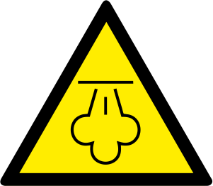 W080