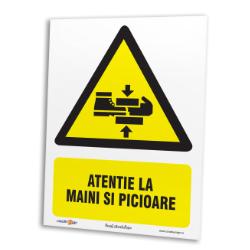 indicator atentie la maini si picioare <span class=